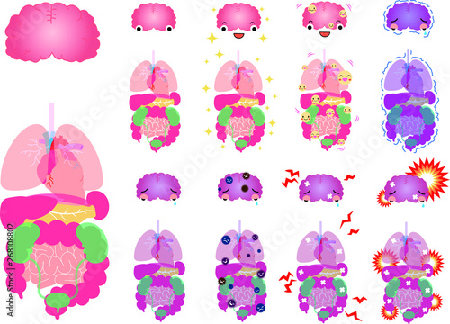 Illustration of cute human organs set