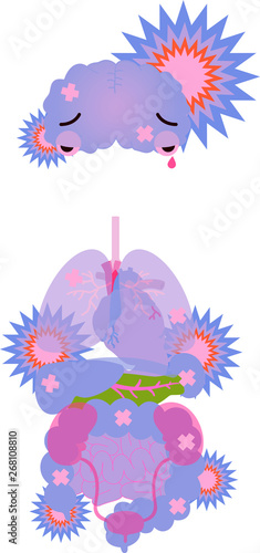 Illustration of cute human organs 