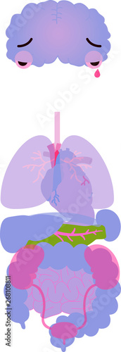 Illustration of cute human organs 