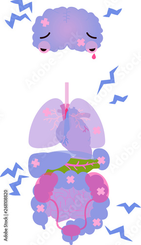 Illustration of cute human organs 