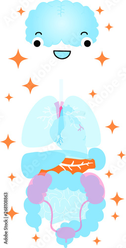 Illustration of cute human organs 