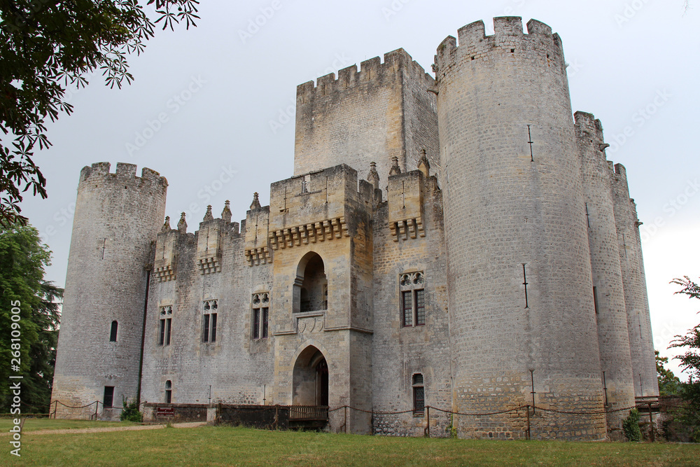 medieval castle (Roquetaillade) in france