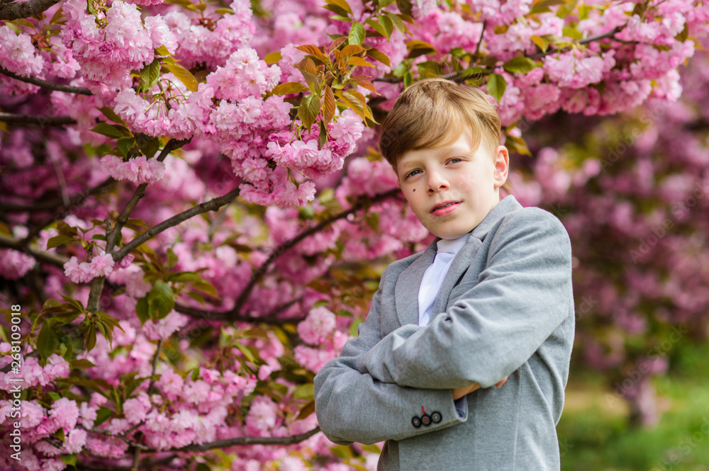 Sakura garden concept. Confident stylish child enjoy warm spring day. Boy fashionable teen posing near sakura. Child pink flowers of sakura tree background. Guy enjoying cherry blossom sakura