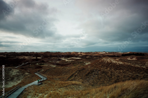 Wooden path in the dunes leading through vast dune landscape