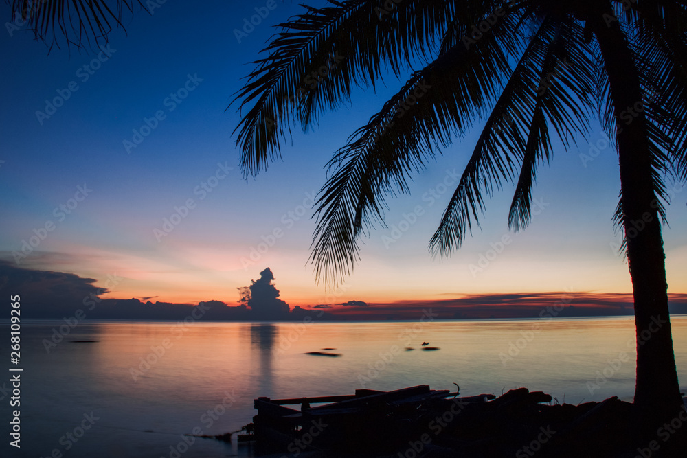 silhouettes of palm in exotic seascape and sunset