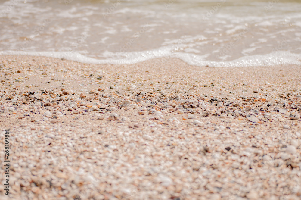 Pile of seashells on a red sand lying in disorder on Yeisk braid island, Russia. Pile of seashells on a red sand lying in disorder on Yeisk braid island, Russia.