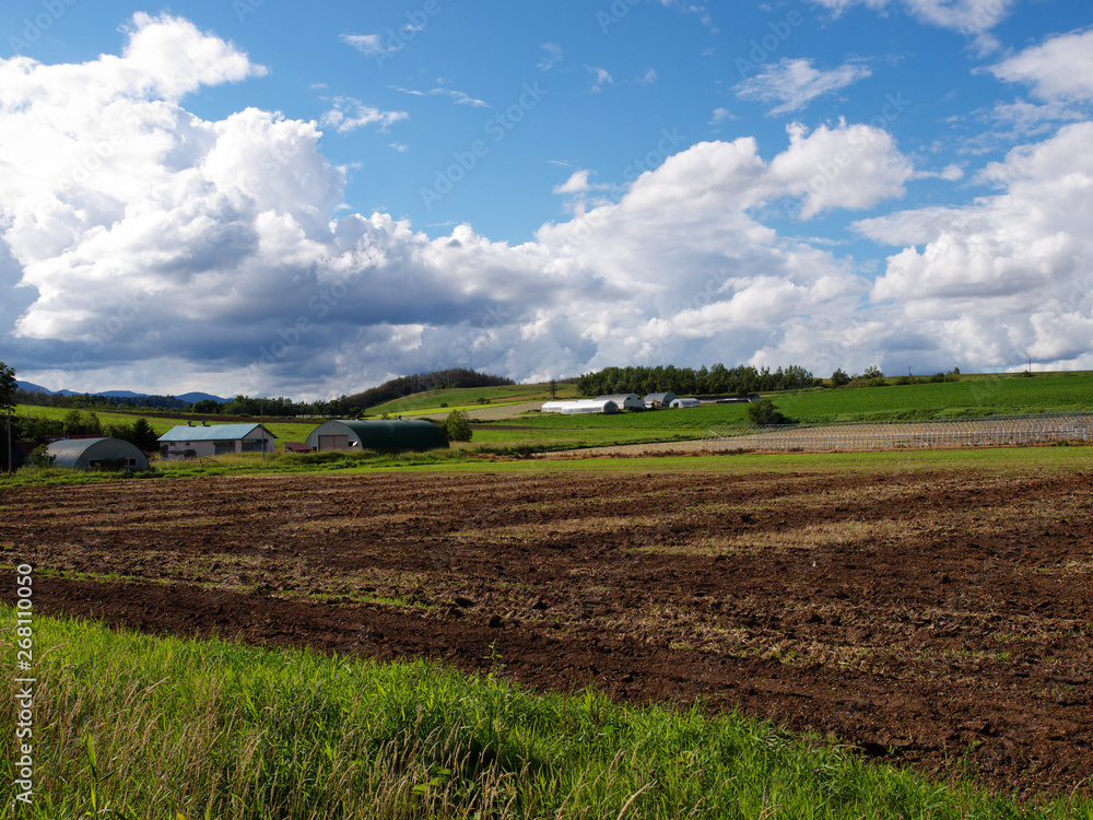 Fototapeta premium 北海道の風景
