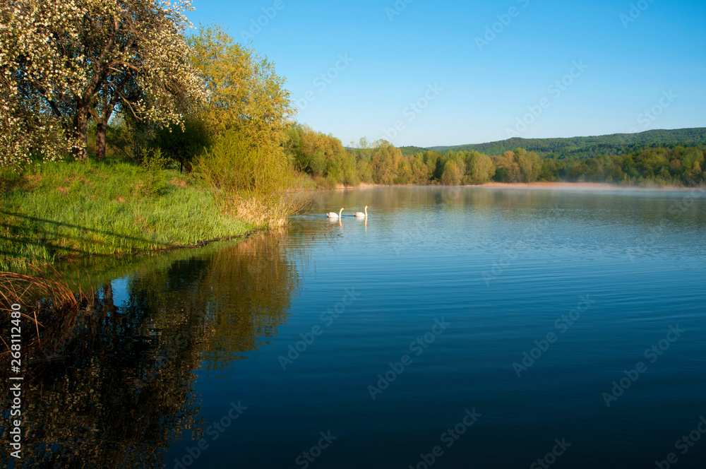 Blooming trees on a mountain lake in the open air against the background of the forest and mountains