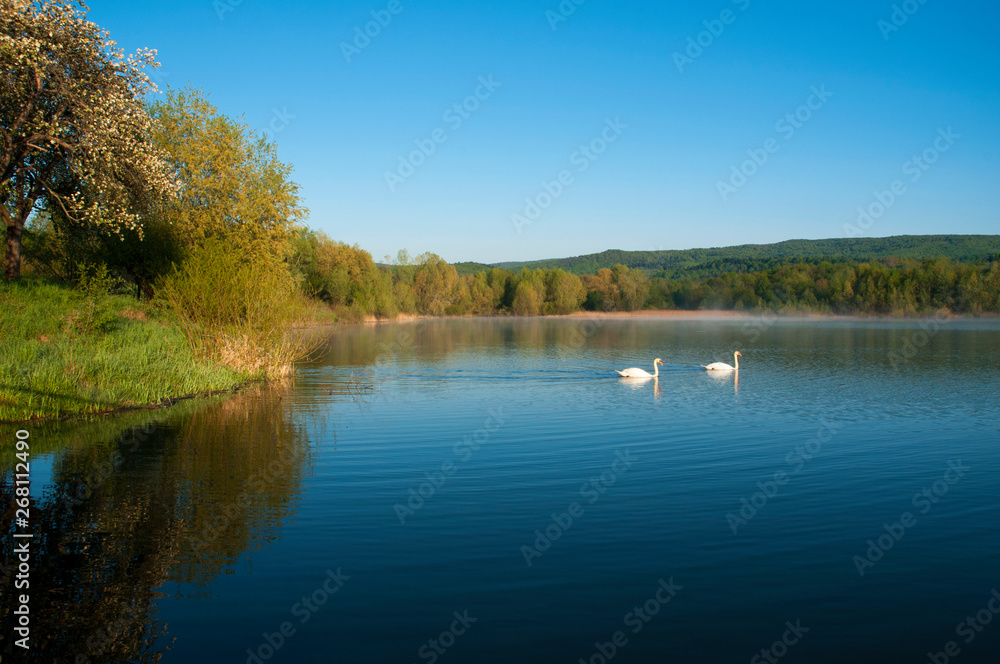 Blooming trees on a mountain lake in the open air against the background of the forest and mountains Blooming trees on a mountain lake in the open air against the background of the forest and mountains