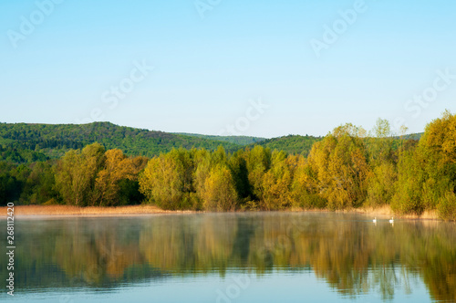 Blooming trees on a mountain lake in the open air against the background of the forest and mountains © mikhailgrytsiv