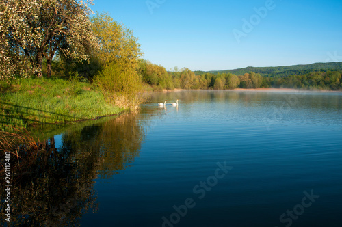 Fototapeta Naklejka Na Ścianę i Meble -  Blooming trees on a mountain lake in the open air against the background of the forest and mountains