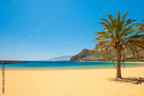 palm trees on Playa de las Teresitas Beach, Tenerife