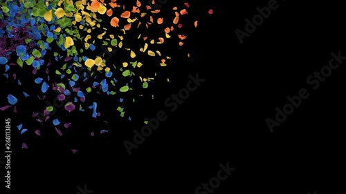 Romantic flying iridescent multicolored vibrant colorful rainbow rose flower petals St. Valentine's Day wedding anniversary greeting cards invitation e-card loop 4k alpha isolated transition