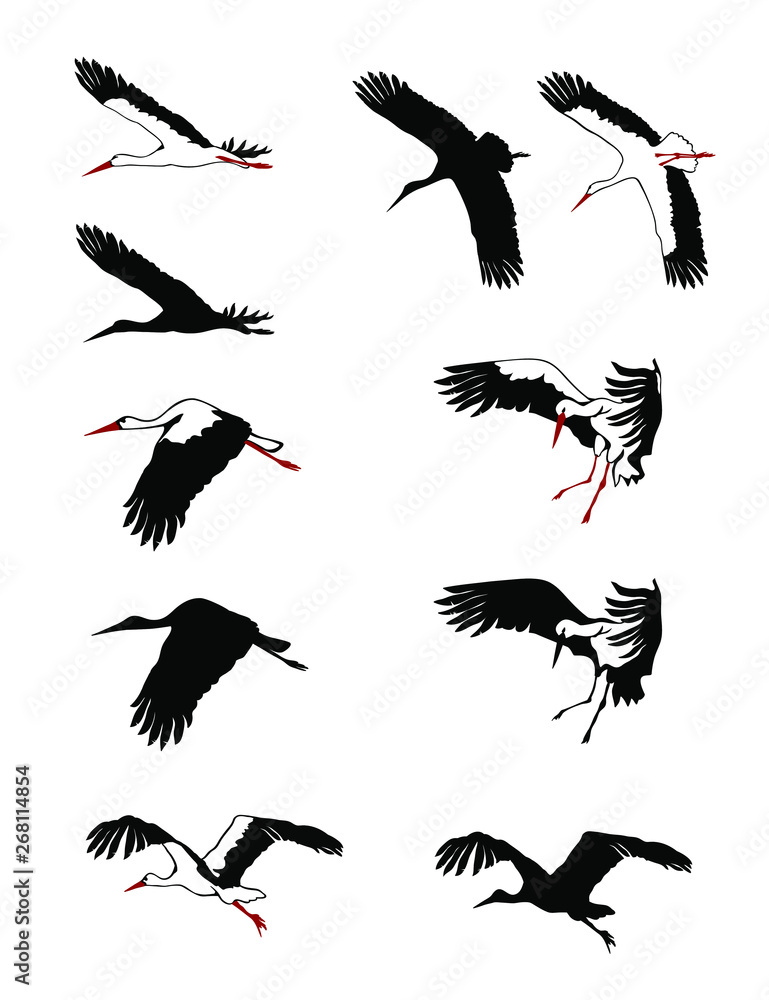 Obraz premium Flying storks silhouettes set. Vector illustration.