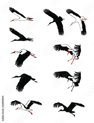 Flying storks silhouettes set. Vector illustration.