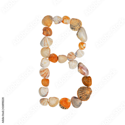 letters of the English alphabet, made of seashells