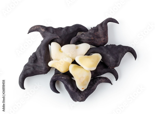 Bild auf Leinwand Water chestnut, Water caltrops on white background top view