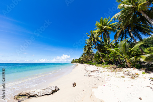 Fototapeta Naklejka Na Ścianę i Meble -  Vibrant tropical beach on Samoa Island with coconut palm trees and black rocks