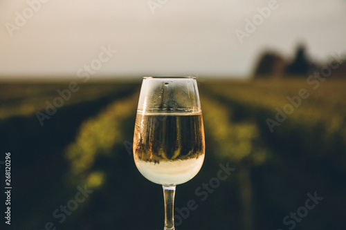 A fresh chilled glass of ice wine overlooking a Canadian vineyard during a Summer sunset