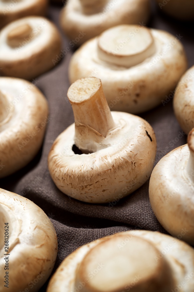 Mushrooms close up Mushrooms close up