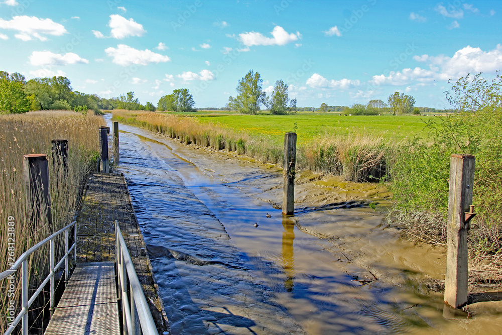 Auenlandschaft an der Unterelbe (Niedrigwasser) Auenlandschaft an der Unterelbe (Niedrigwasser)