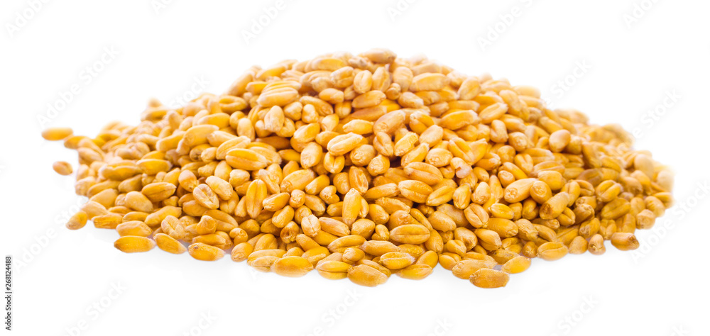 the wheat heap or pile side view isolated on white background the wheat heap or pile side view isolated on white background