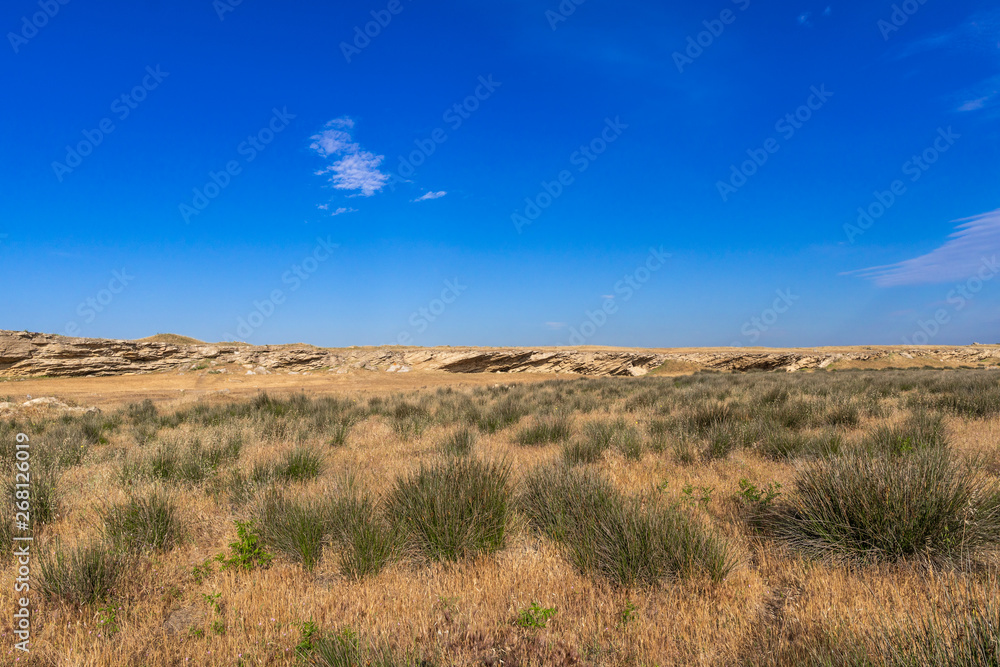 Small ancient rocks and dry yellow grass scenery