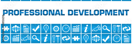 Professional Development Blue Box Grid Business Symbols 