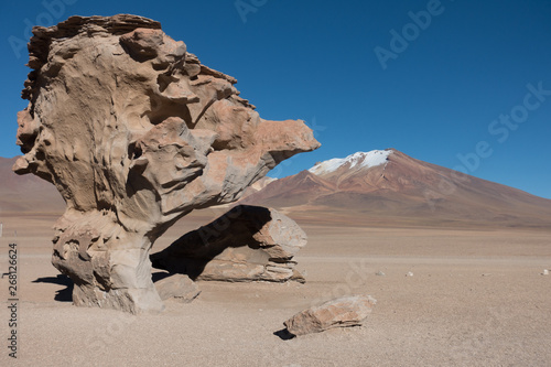 Arbol de Piedra, Salar de Uyuni, Bolivia