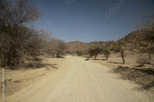 szutrowa zakurzona droga pomiędzy niskimi drzewami w afryce © KOLA  STUDIO