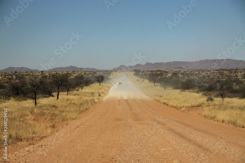 długa prosta droga szutrowa biegnąca przez dzikie tereny w afryce © KOLA  STUDIO