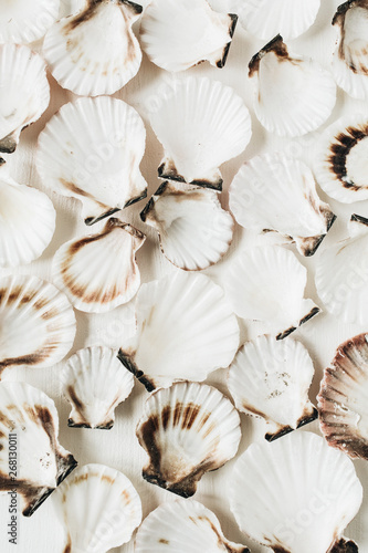 Obraz na plátně Sea shells pattern on white background