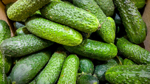 Macro image of lots of green cucumbers on counter at grocery store. Closeup texture or pattern of fresh ripe vegetables