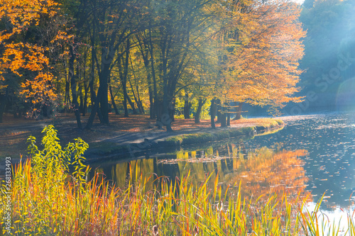 Autumn landscape of the forest on the shore of the lake