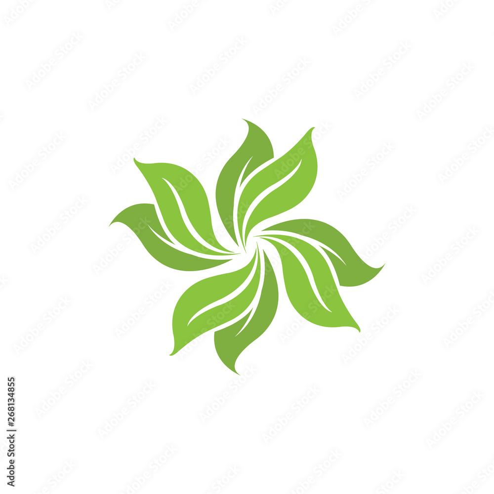 Leaf  Vector Illustration Design
