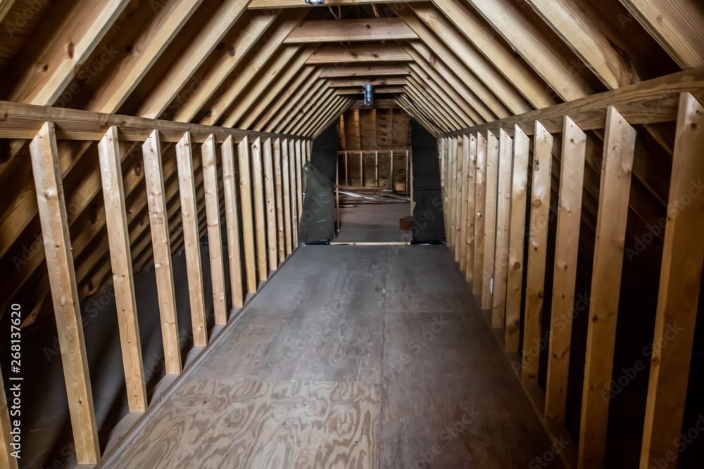 Large Clean House Home Attic
