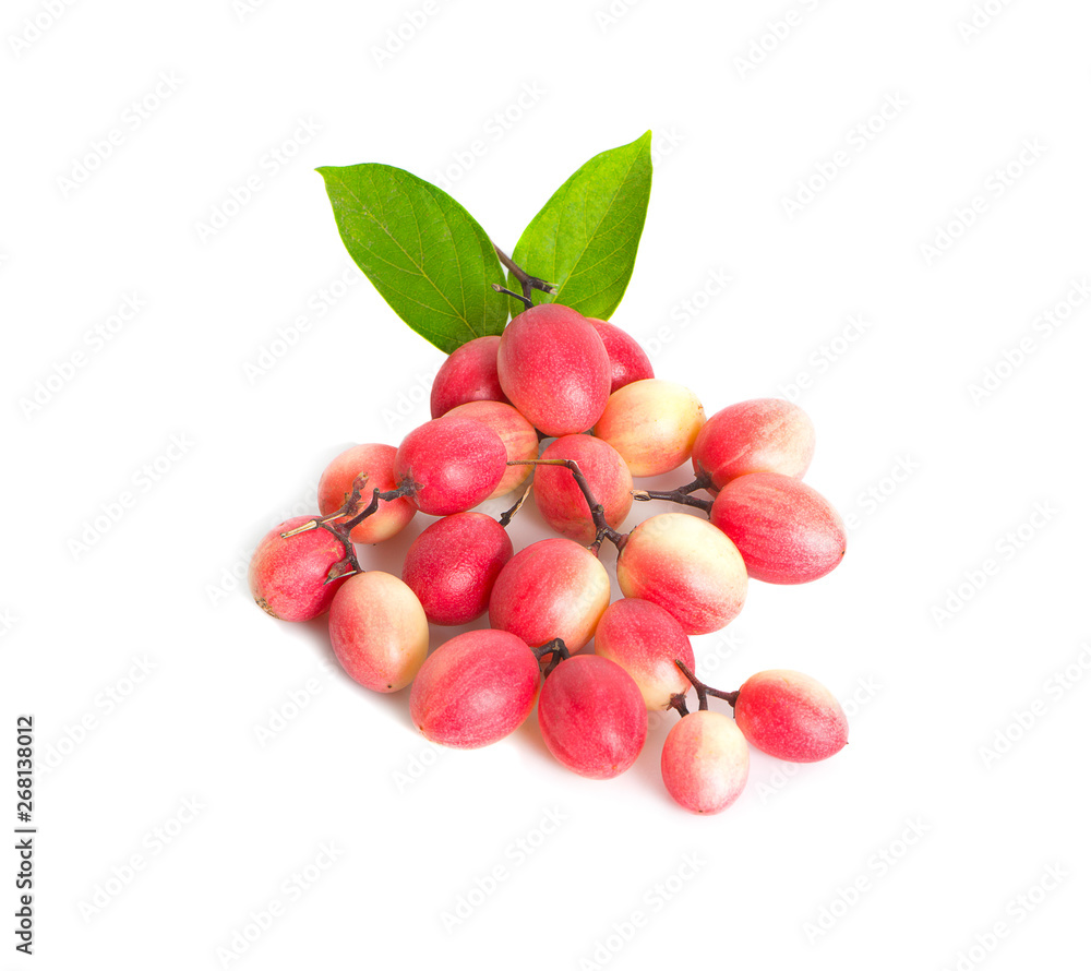 Carissa carandas Linn,Karanda, Carunda with leaves isolated on white background Carissa carandas Linn,Karanda, Carunda with leaves isolated on white background