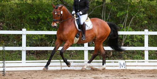 Dressage horse (horse) in the uphill gallop in a dressage tournament..