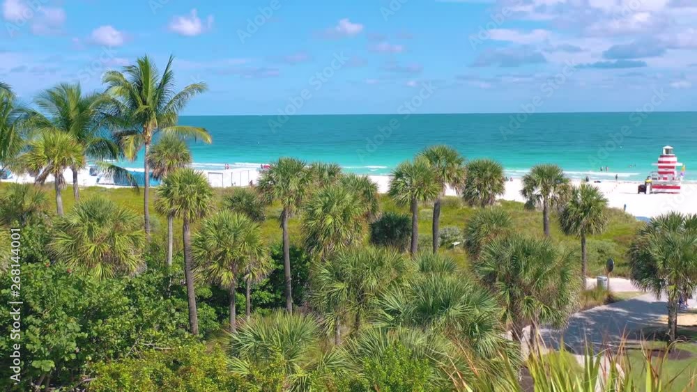 MIAMI, FLORIDA, USA - MAY 2019: Aerial drone panorama view flight over Miami beach. Sand, palm trees and sea from above. MIAMI, FLORIDA, USA - MAY 2019: Aerial drone panorama view flight over Miami beach. Sand, palm trees and sea from above.