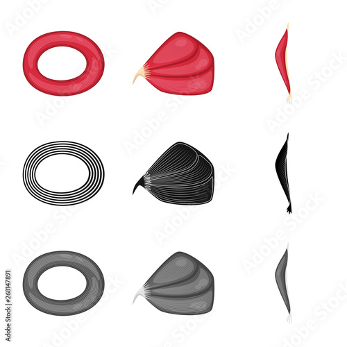 Vector illustration of fiber and muscular sign. Collection of fiber and body  stock symbol for web.