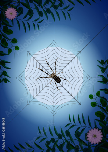 spider web among green branches and flowers on the background of the moon