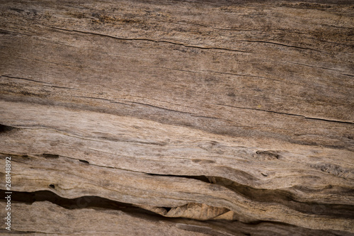 The nice real wood with detail texture