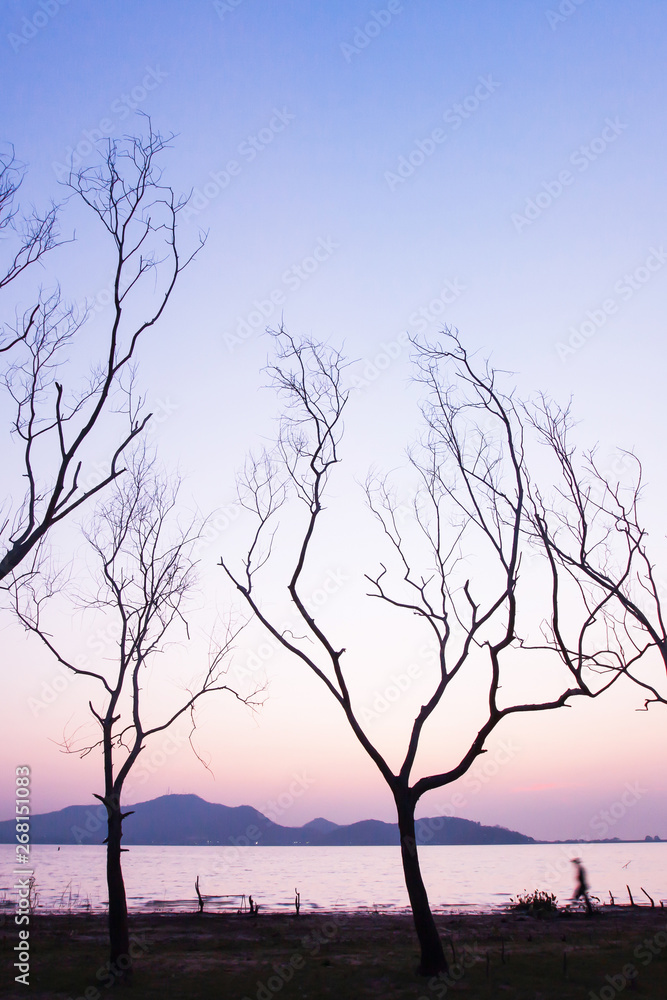 A man walks on the bare trees line near a lake at dusk. A man walks on the bare trees line near a lake at dusk.