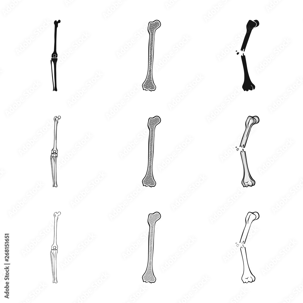 Vector design of medicine and clinic icon. Set of medicine and medical stock vector illustration. Vector design of medicine and clinic icon. Set of medicine and medical stock vector illustration.