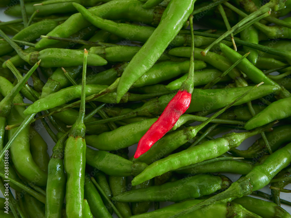 A Red Chili pepper with Green chili peppers A Red Chili pepper with Green chili peppers