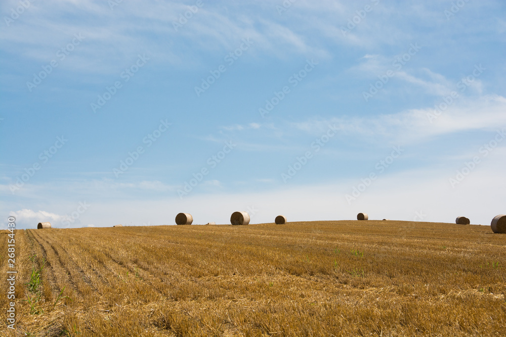 収穫が終わった麦畑と麦稈ロール