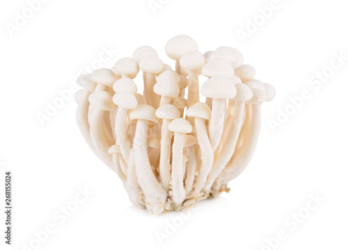 Bunashimeji mushroom, White beech mushrooms on white background