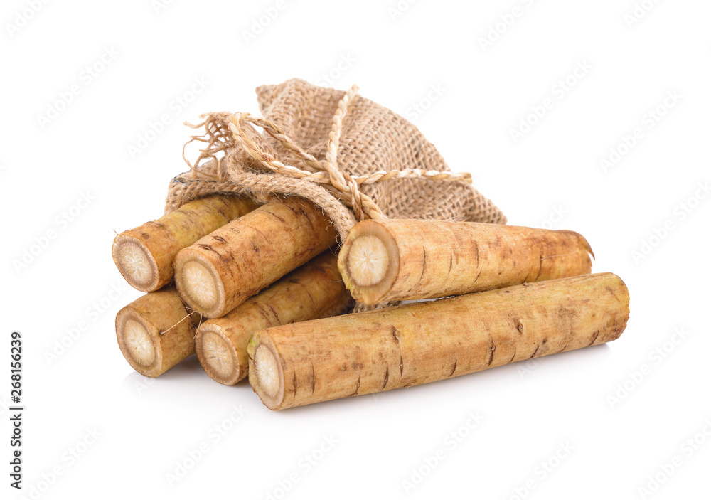 fresh burdock root or Gobo in sack and on white background