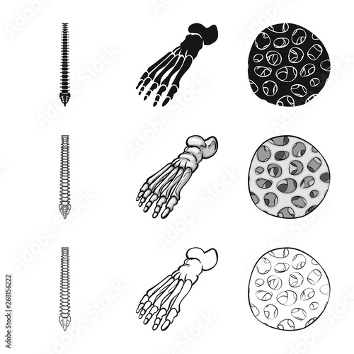 Isolated object of medicine and clinic logo. Set of medicine and medical vector icon for stock.