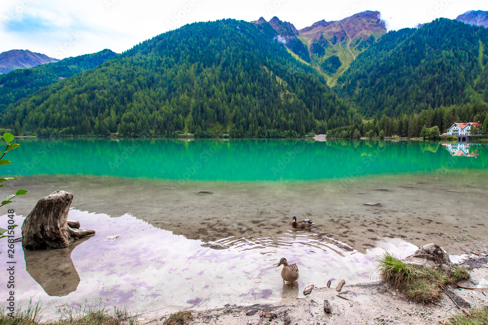 The Antholzer See a lake in South Tyrol, Italy The Antholzer See a lake in South Tyrol, Italy